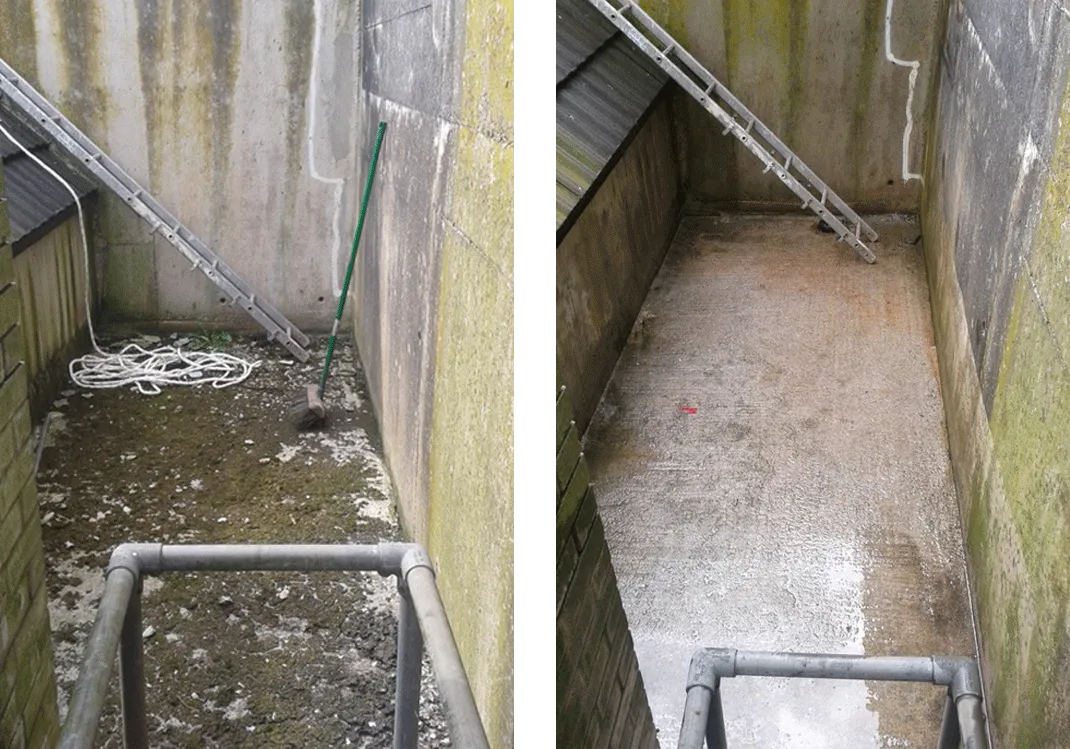 Guano removal Bridgwater