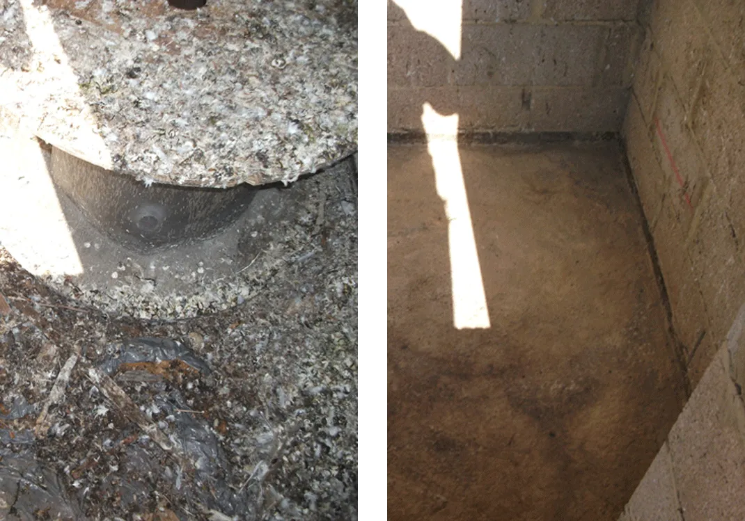 Removing-bird-droppings-somerset